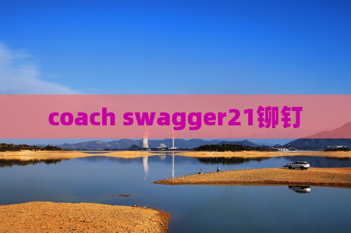 coach swagger21铆钉
